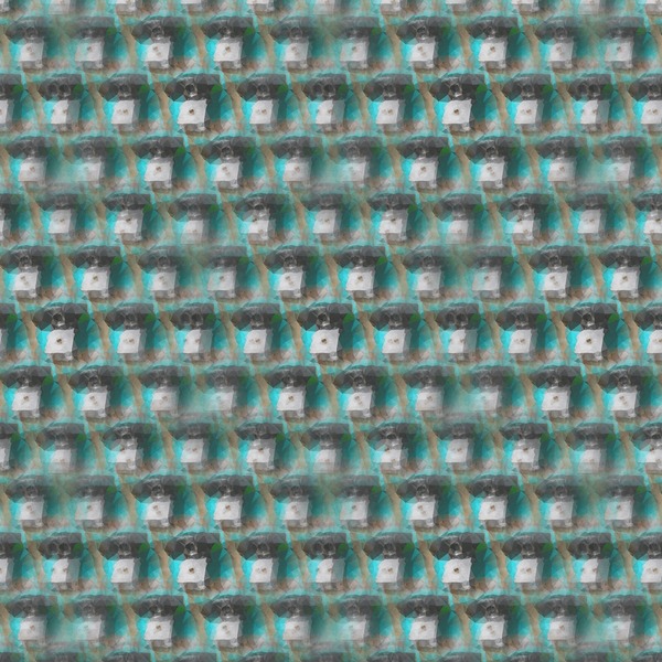 Cô