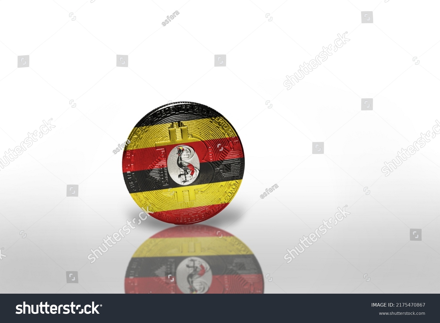 Cá