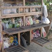 Lễ