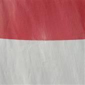 GI