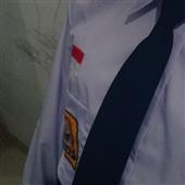 Cu