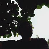 Kế