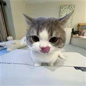 He