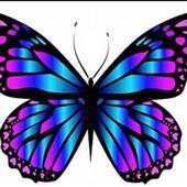 Bi