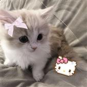 lấ