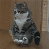 Is