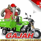 Ho