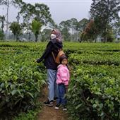 Tự