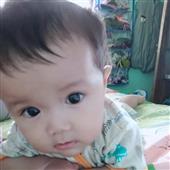 Dự