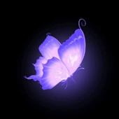 Mô