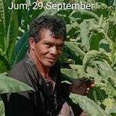 Hà