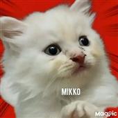 F-
