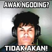 Đu