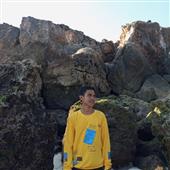 Gi