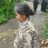 Gi