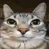 Wo