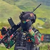 Gi