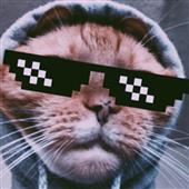 Xe