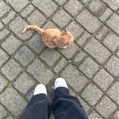 Kh