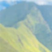 Lị