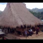 xú