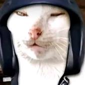 Ch