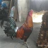 To