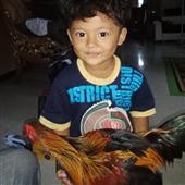 Ki