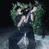 Gi