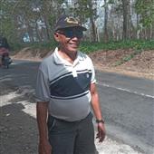 Bó