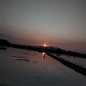 Tỷ