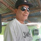 Cá