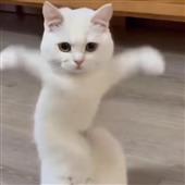 cô
