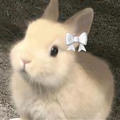 Rù