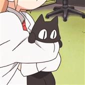 Gi