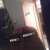 Se