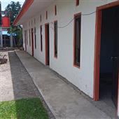 Ân