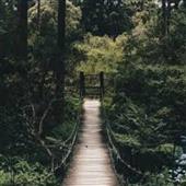 Nh
