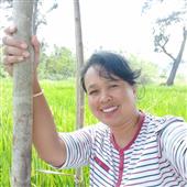 Củ