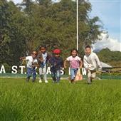Gi