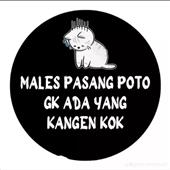 Củ
