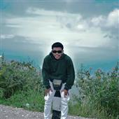Gi