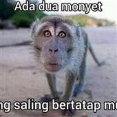Kè
