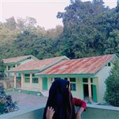 Sự