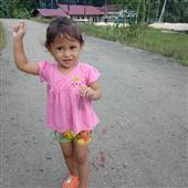 Gi