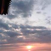 Vò