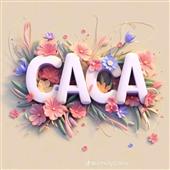 Sá
