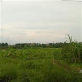 An