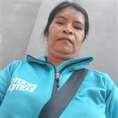Gi