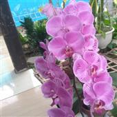 Lễ